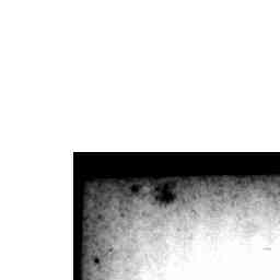 Image Tile