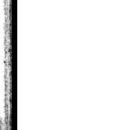 Image Tile