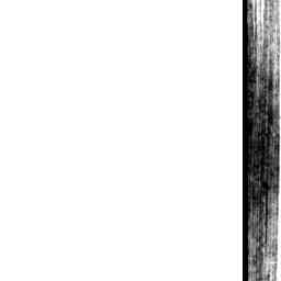 Image Tile