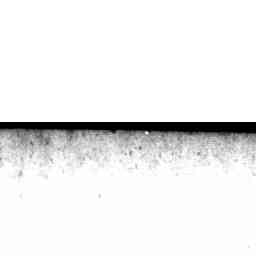 Image Tile