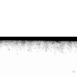 Image Tile