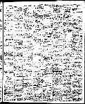 Page 3 thumbnail