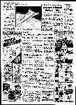 Page overview thumbnail