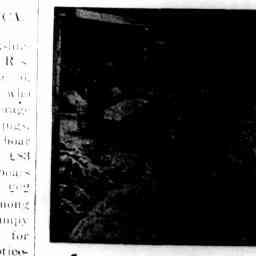 Image Tile