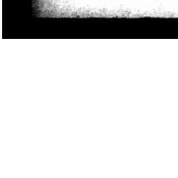 Image Tile