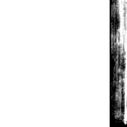 Image Tile