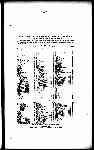 Page 3877 thumbnail