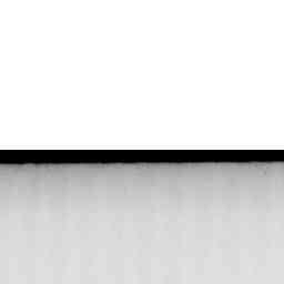 Image Tile