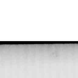 Image Tile