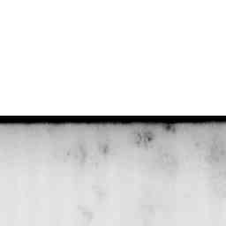 Image Tile