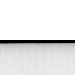 Image Tile