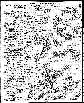 Page overview thumbnail