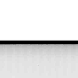 Image Tile