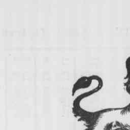 Image Tile