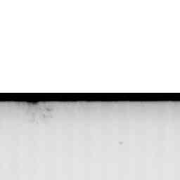 Image Tile