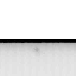 Image Tile
