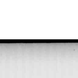 Image Tile