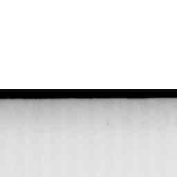 Image Tile