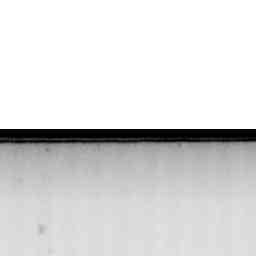 Image Tile