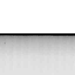 Image Tile