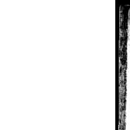 Image Tile