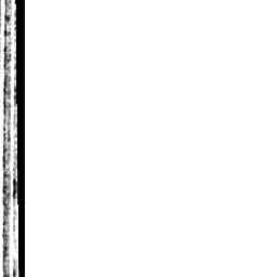 Image Tile