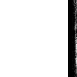 Image Tile