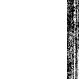 Image Tile