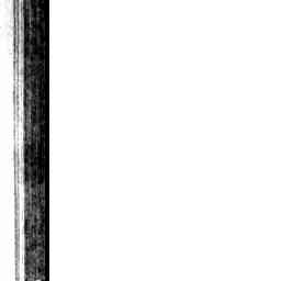 Image Tile