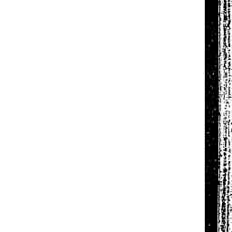 Image Tile