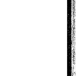 Image Tile