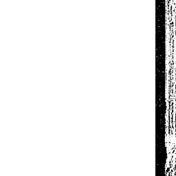 Image Tile