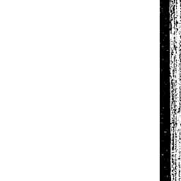 Image Tile