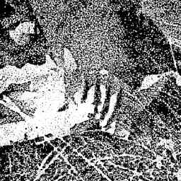 Image Tile