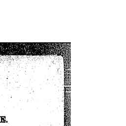 Image Tile