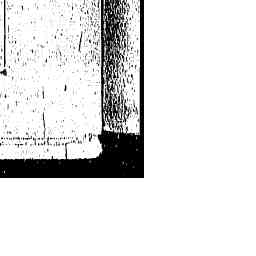 Image Tile