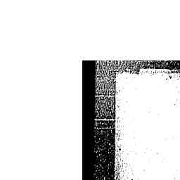 Image Tile