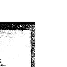Image Tile