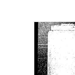 Image Tile