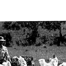 Image Tile