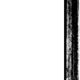Image Tile