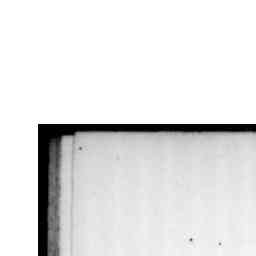 Image Tile