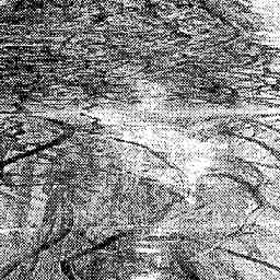 Image Tile