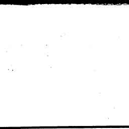 Image Tile