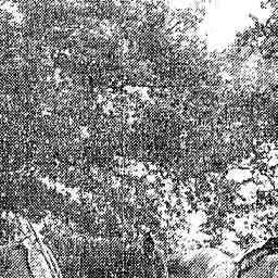 Image Tile