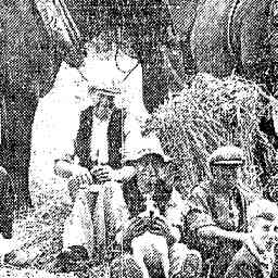 Image Tile