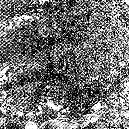 Image Tile
