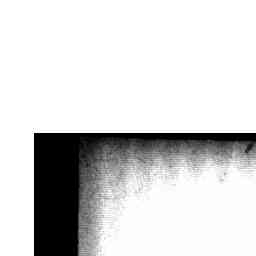 Image Tile