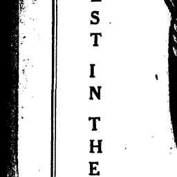 Image Tile