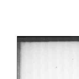 Image Tile